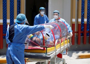 Araña México las 88 mil muertes por Coronavirus 