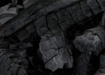 A los “coyotes” les toca pagar más para seguir en el negocio del carbón