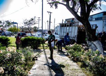 Mejora Gobierno de Matamoros  limpieza de espacios públicos y avenidas
