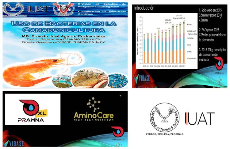 Proponen investigadores  probióticos para control de enfermedades en camarones.