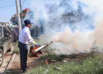 Aceleran combate  al mosco del dengue en Nuevo Laredo