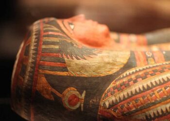 Encuentran 59 sarcófagos antiguos en Egipto; tienen más de 2 mil años