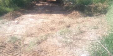 Atiende Rubén Rivera peticiones en la Colonia Amalia G.