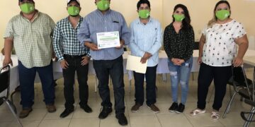 Reconoce Partido Verde trabajo de veladores
