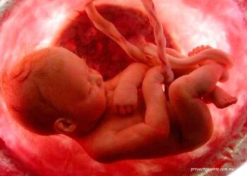 Hoy es el Día Mundial de Concienciación sobre la Muerte Gestacional, Perinatal y Neonatal