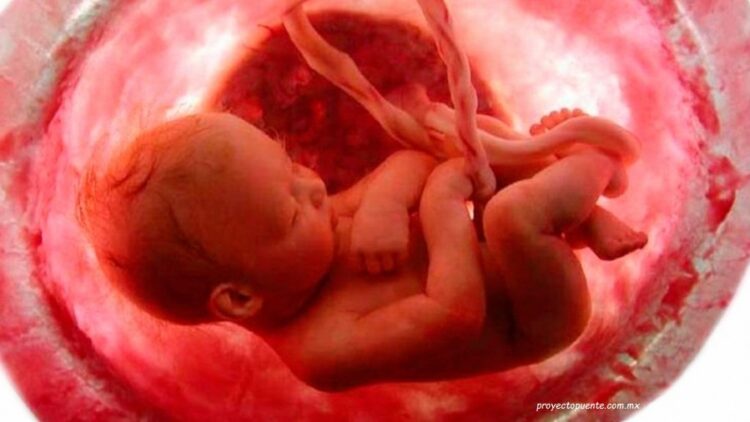 Hoy es el Día Mundial de Concienciación sobre la Muerte Gestacional, Perinatal y Neonatal