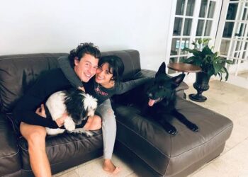 Shawn Mendes no conocía el amor verdadero hasta la llegada de Camila Cabello