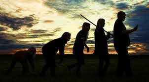 Hoy es el día mundial de la evolución