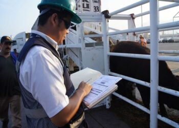 Acuerdan México y EU programa para erradicar la garrapata en zona fronteriza