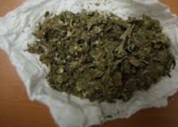 Ahora se podrá llevar hasta 200 gramos de mariguana en el bolsillo