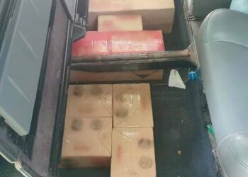 Intercepta Guardia Nacional camioneta con 20 mil cartuchos en Oaxaca