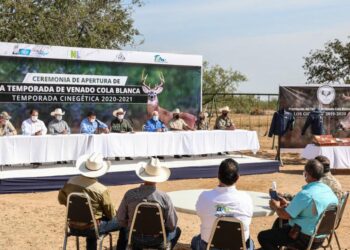 Arrancó en Nuevo Laredo la Temporada de Cacería de Venado