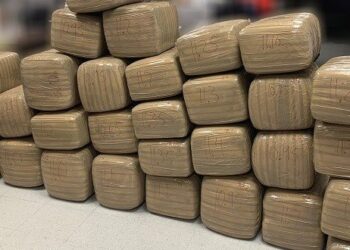 Descubre canino casi media tonelada de marihuana