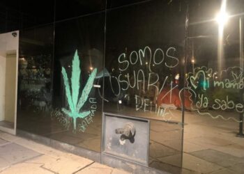 Movimiento Cannabico, descontento con decisión del Senado