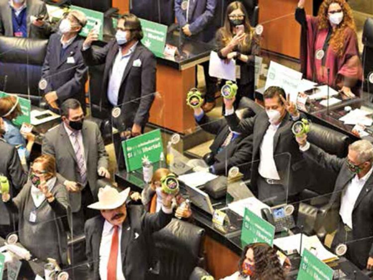 Así votaron los senadores uso lúdico de mariguana en México