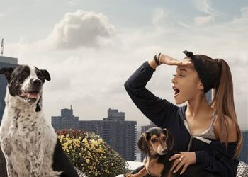 Ariana Grande crea página web para rescate animal