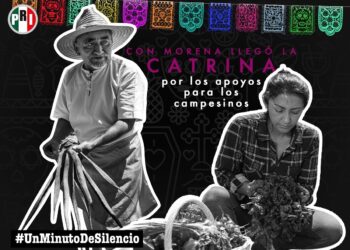 PRI lamenta pérdida de instituciones y apoyos a sectores prioritarios