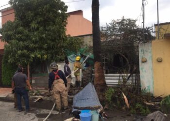 Bomberos salvan a perrito de morir en incendio