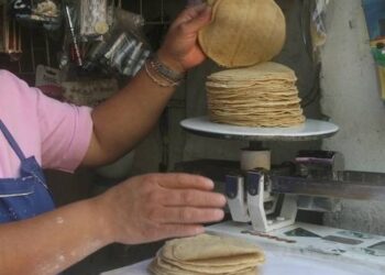 Injustificable aumentar precio de tortilla