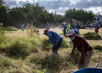 Rehabilitan áreas verdes de sectores populares de Matamoros