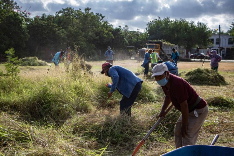 Rehabilitan áreas verdes de sectores populares de Matamoros
