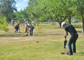 Reforestan Unidad Deportiva “Martínez Manautou” de Matamoros