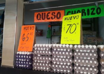Precio de tapa de huevo podría llegar a 100 pesos para diciembre