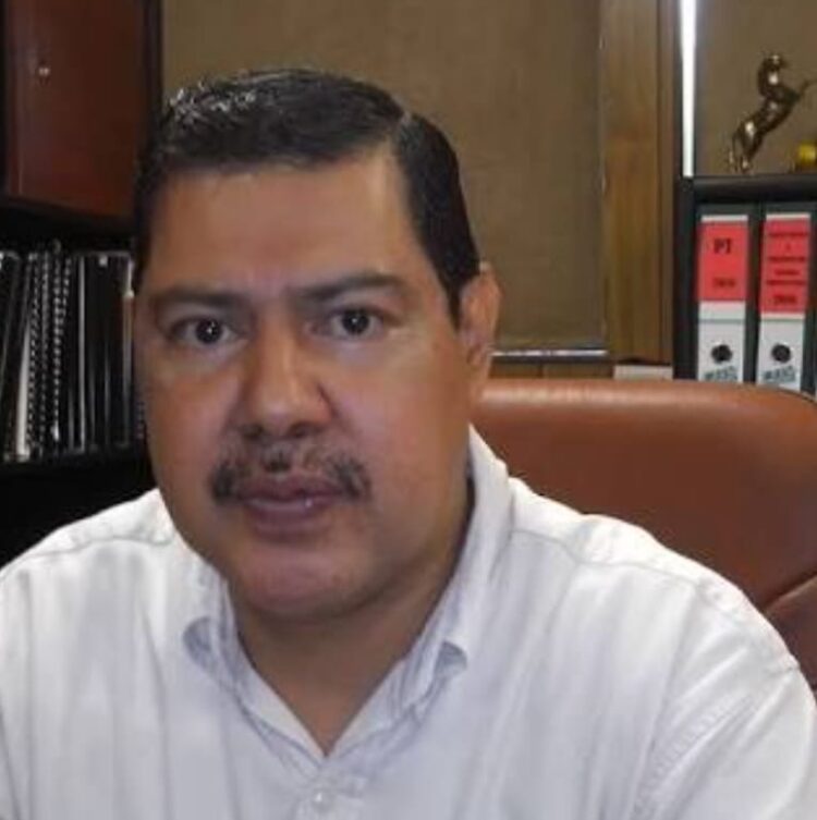 Vigilan venta de insecticidas