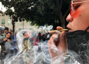 Aprobará Senado en comisiones nueva Ley Federal para regular cannabis
