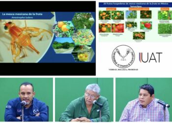 Desarrolla la UAT webinar sobre la mosca de la fruta y medidas fitosanitarias