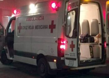 Perro ataca a su dueño y lo muerde en el rostro