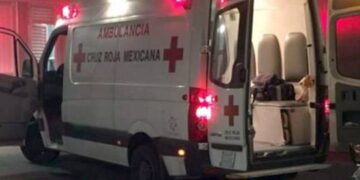 Perro ataca a su dueño y lo muerde en el rostro
