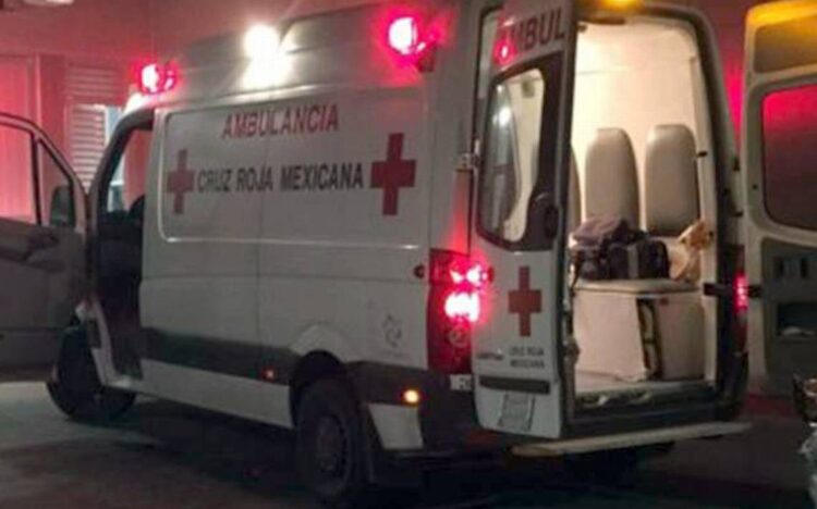 Perro ataca a su dueño y lo muerde en el rostro