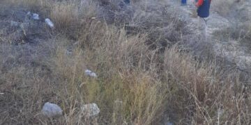 Chofer abandona camioneta tras accidentarse