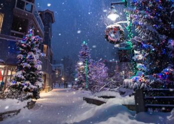 Te presentamos seis consejos para sobrevivir esta Navidad