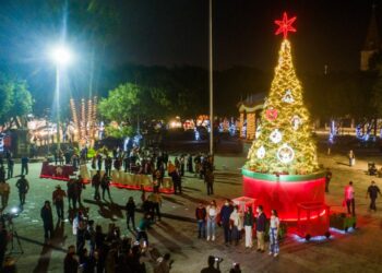 Encienden el pino navideño en la plaza de Matamoros