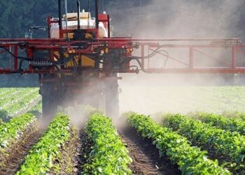 Da SADER “tiro de gracia” al agro con decreto de sustitución gradual del glifosato