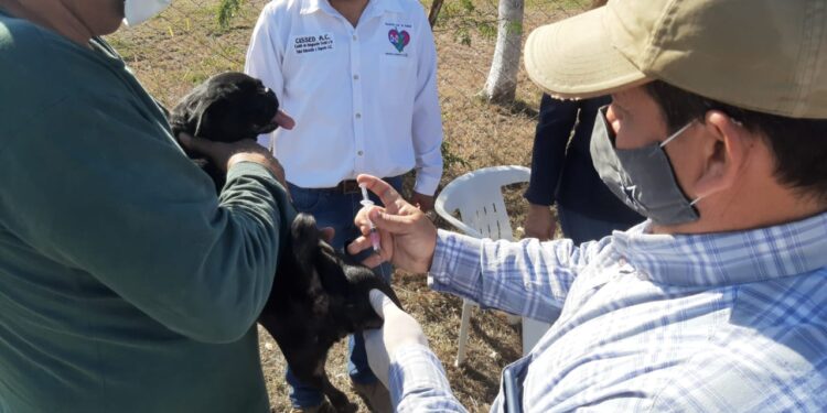 Lleva CISSED alegría y salud a la Colonia Vamos Tamaulipas