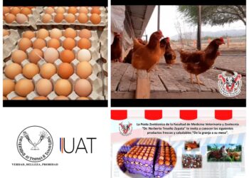 Promueve la FMVZ-UAT tienda de productos frescos y saludables