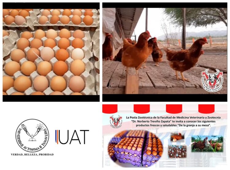 Promueve la FMVZ-UAT tienda de productos frescos y saludables