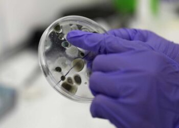 Nueva cepa de Coronavirus es más contagiosa hasta un 70%