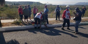 Motociclista herido por ir usando el celular