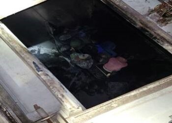 Patrulla Fronteriza rescata indocumentados en trenes cargueros