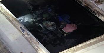 Patrulla Fronteriza rescata indocumentados en trenes cargueros