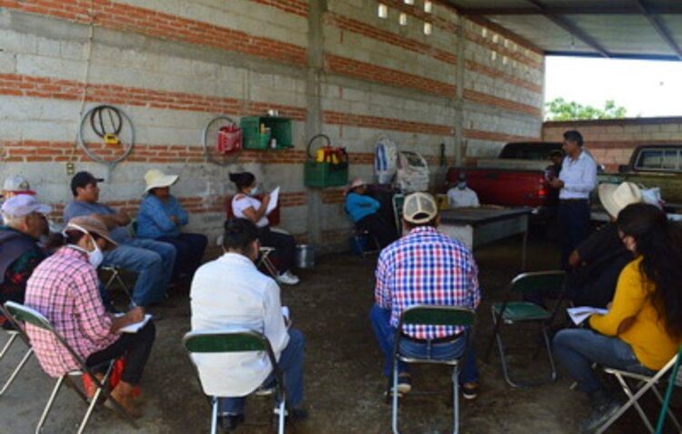 Impulsan Escuelas Campesinas para desarrollar capacidades en comunidades rurales