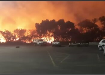 Sofocan bomberos 27 incendios de pastizales en Altamira
