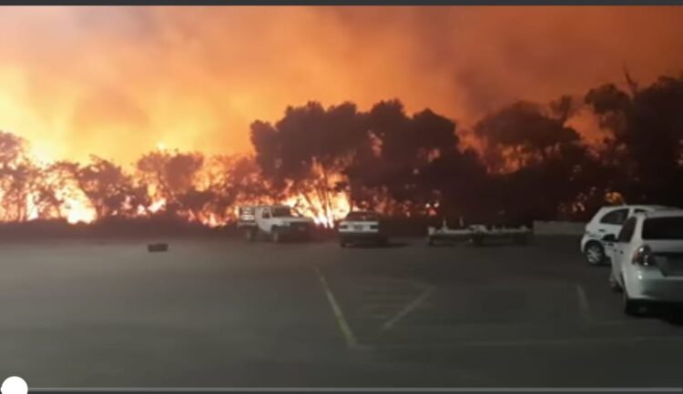 Sofocan bomberos 27 incendios de pastizales en Altamira
