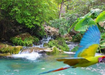 Destaca UAT importancia de conservar recursos naturales