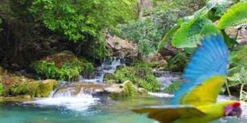 Destaca UAT importancia de conservar recursos naturales