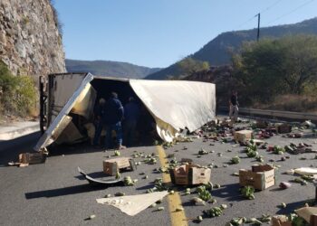 Vuelca tráiler con plátanos en ruta Victoria-San Luis Potosí